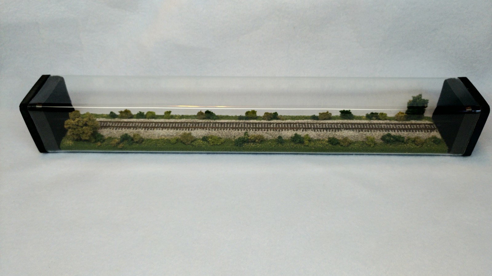 Z SCALE 14″ DISPLAY TUBE – “SUMMER SCENE” – FOR ANY Z LOCOS AND CARS