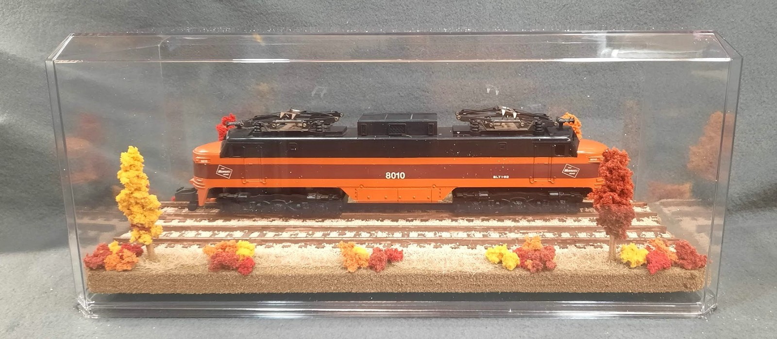 S SCALE 16″ DOUBLE TRACK DISPLAY CASE- “FALL FOILAGE SCENE”-FOR ANY S TRAINS