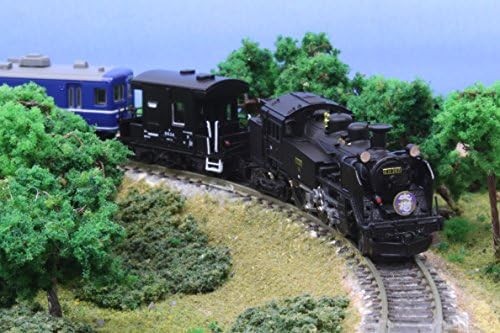 Rokuhan Z Gauge T019-5 C11 Type 207 SL Daiju Model Rrain Railroad Japan