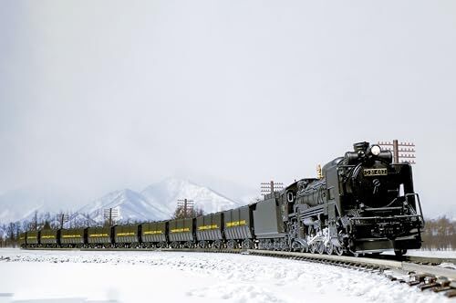 KATO N Scale D51 Hokkaido Class 2016-B Model Train Steam Locomotive Japan F/S