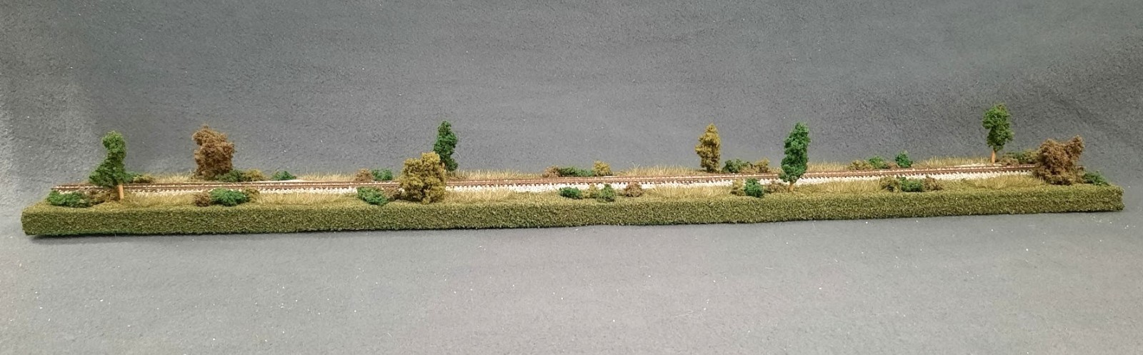Z SCALE 24″ DISPLAY DIORAMA – “SUMMER SCENE” FOR ANY Z TRAIN