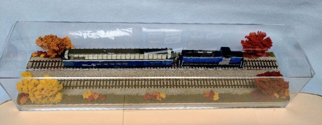 N SCALE 16″ DOUBLETRACK TRAIN DISPLAY CASE -FALL FOLIAGE SCENE -FOR N TRAINS
