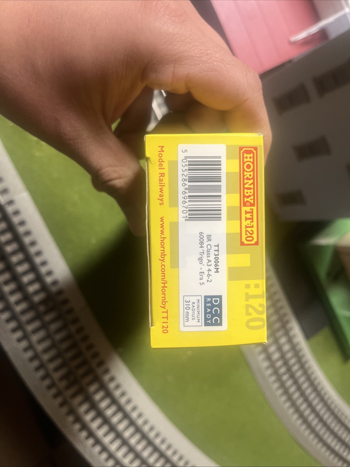 Hornby TT3006M BR Class A3 Trigo W/DCC Sound