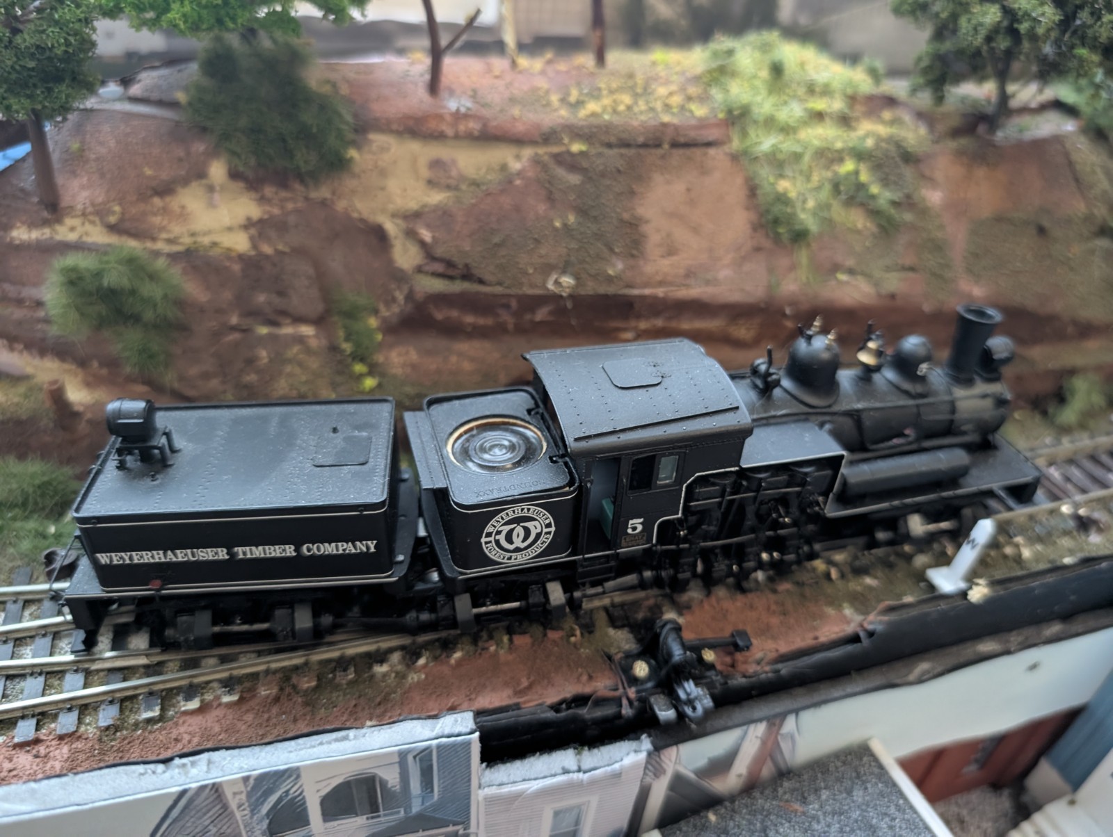 HO Bachmann 3 Truck Shay, Metal NWSL Gears, Factory DCC Soundtraxx Decoder.