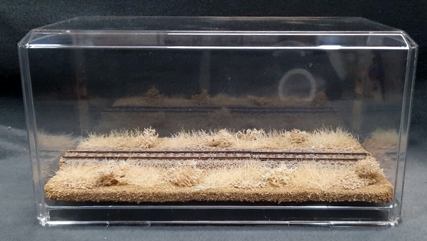 HOn3 SCALE 9″ SINGLE TRACK DISPLAY CASE – DESERT SCENE- FOR ANY HOn3 TRAINS