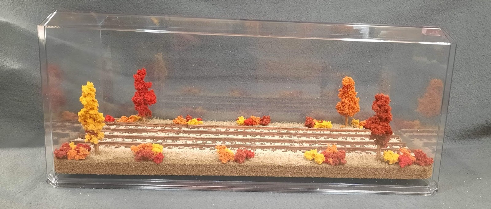 S SCALE 16″ DOUBLE TRACK DISPLAY CASE- “FALL FOILAGE SCENE”-FOR ANY S TRAINS