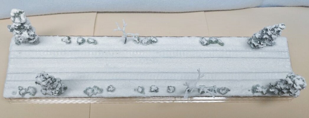 N SCALE 16″ DOUBLE-TRACK DISPLAY CASE -WINTER SNOW SCENE- FOR ANY N TRAINS