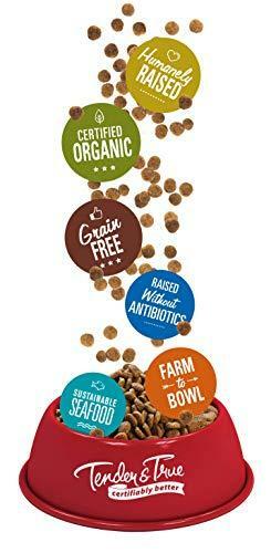 Tender & True Antibiotic-Free Turkey & Brown Rice Recipe Dog Food, 4 lb